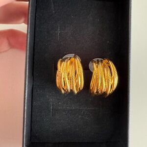 Elegant Gold Hoop Earrings